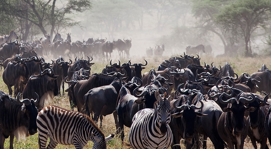 northern tanzania